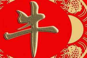 牛姓起源和来历和现状 牛姓起源和来历和祖先