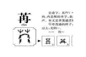苒的意思在名字里含义 苒的意思是什么意思