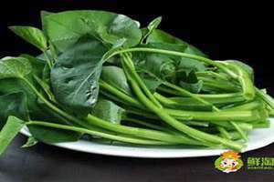 摘菜是什么意思(择菜是什么意思)