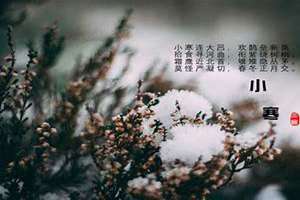 大寒的古诗四句话(小寒的古诗)