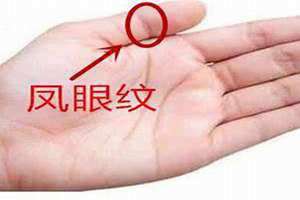 夫子眼手纹图解 夫子眼没有完全闭合代表什么意思