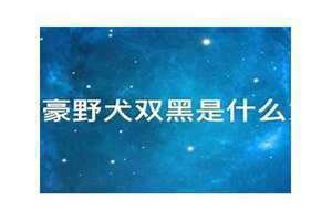 征信双黑是什么意思 文豪野犬双黑是什么意思