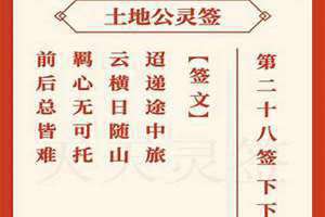 28签解签大全(28签)
