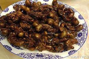 节流鬼图片 节流鬼的功效和作用
