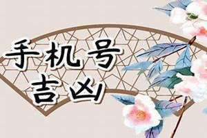 手机号查凶吉免费(手机号查凶吉)
