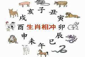 今天冲什么生肖老黄历(今天冲什么)