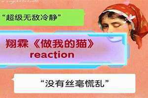 超级冷静的生肖女 超级冷静多少天合适