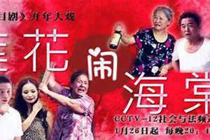 普法栏目剧莲花闹海棠第二季 普法栏目剧莲花闹海棠演员