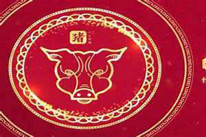 一九七七年属什么生肖(七七年属什么生肖)