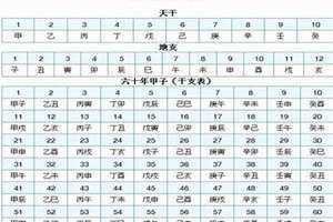 乙未年是哪一年属什么生肖 己未年是哪一年属什么