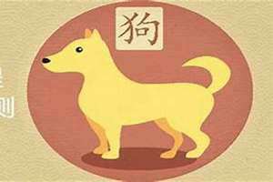 属狗的人今日运势360星座网(属狗的人今日运势)