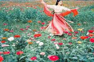 梦见栽花到花盆(梦见栽花)