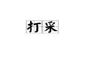 打采四字成语(打采)