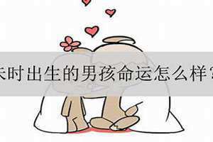 未时出生的男孩命运怎么样 2024年未时出生的男孩命运