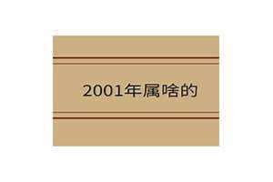 2001年属啥的生肖(2001年属啥)