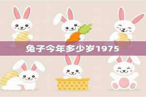 属兔的年龄表 今年兔子年龄