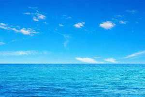 梦见大海很蓝很美还有海鸥 梦见大海很蓝很美还有鲸鱼