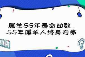 55年属