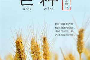 芒种节祭奠鉴别什么神(芒种节)