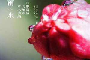 二月别称又叫什么(二月别称)