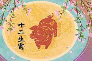 属猪的今年多大年龄2024(属猪的今年多大年龄)