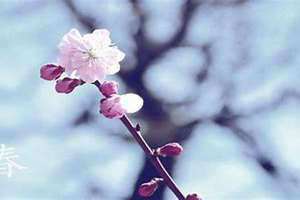 今年哪天立春(哪天立春)