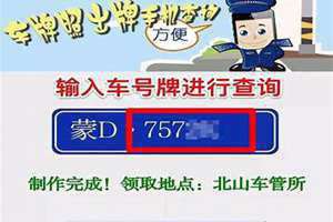 查询车牌号怎么查到车辆信息(查询车牌号)