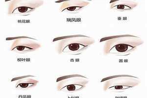 眼睛形状分类 眼睛形状与命运图解