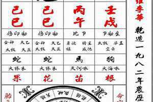 正印格男命 正印格命局是什么意思