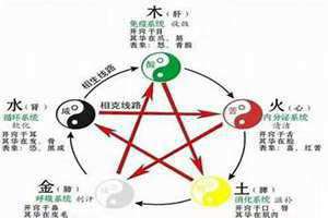 五行木弱怎么补救(五行木弱)