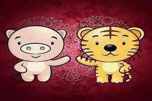 猪和虎相配婚姻如何男属猪,女属虎(猪和虎相配婚姻如何)
