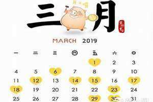 成服是什么意思(除服是什么意思)