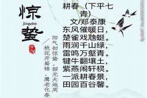 惊蛰的诗词有哪些(惊蛰的诗)