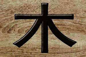 五行木多的男人怎么样(五行木多)