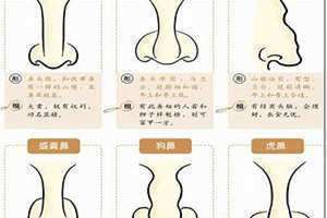 鼻如悬胆图片(鼻如悬胆)