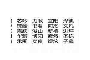 王姓男孩名字2024年属龙起名(王姓男孩名字)