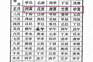 戊寅月柱是什么命 戊寅月什么意思