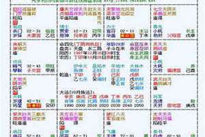 命主廉贞是什么意思(命主是什么意思)