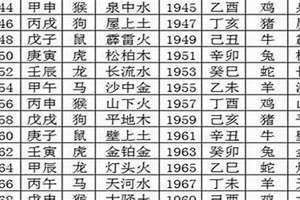 2017年什么命五行属什么命(2017年什么命)