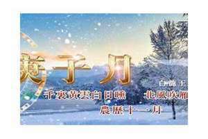 庚子月柱女命运 庚子月柱