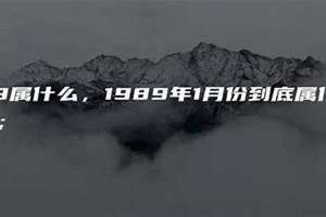 1990年属蛇是什么命(1989属什么)