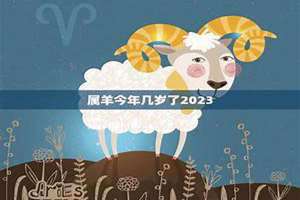 羊今年几岁2024(羊今年几岁)