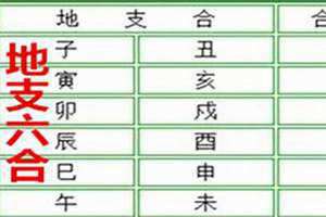 暗合地支有哪些 暗合有哪些组合