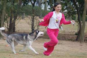 狗交配女人