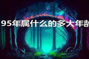 95年多大