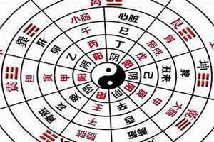 看八字的软件免费 有没有看八字的软件