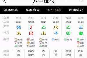 枭神是偏印吗怎么看什么夺什么 偏印什么时候为枭神