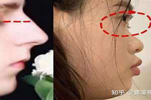 鼻子高挺的男人(鼻子高)
