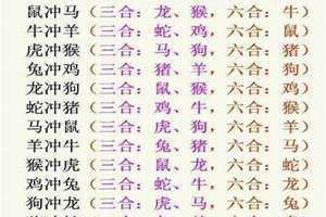今日相冲生肖查询黄道吉日2023年11月8日 2024年今日相冲生肖查询