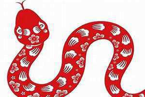 蛇年运势及运程(蛇年运势)